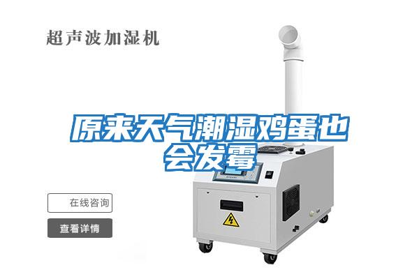 原來天氣潮濕雞蛋也會(huì)發(fā)霉