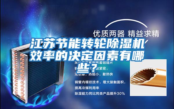 江蘇節(jié)能轉(zhuǎn)輪除濕機效率的決定因素有哪些？