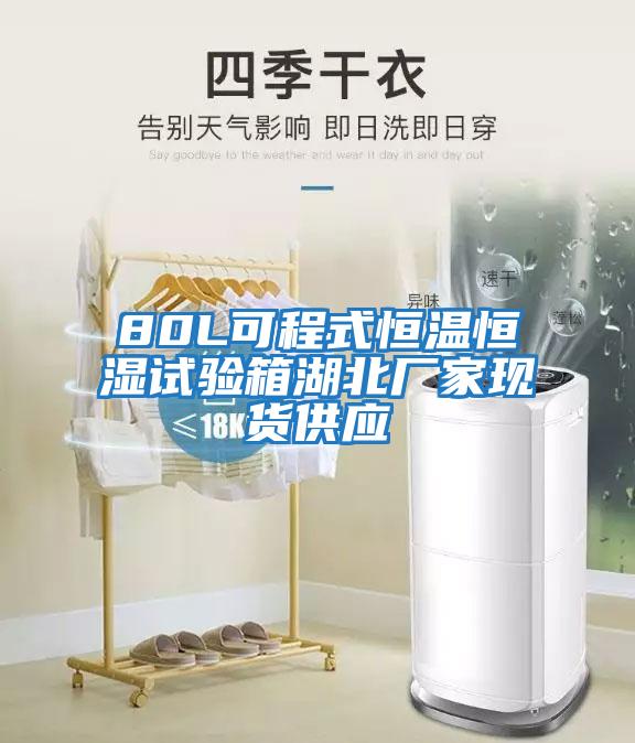 80L可程式恒溫恒濕試驗箱湖北廠家現(xiàn)貨供應(yīng)