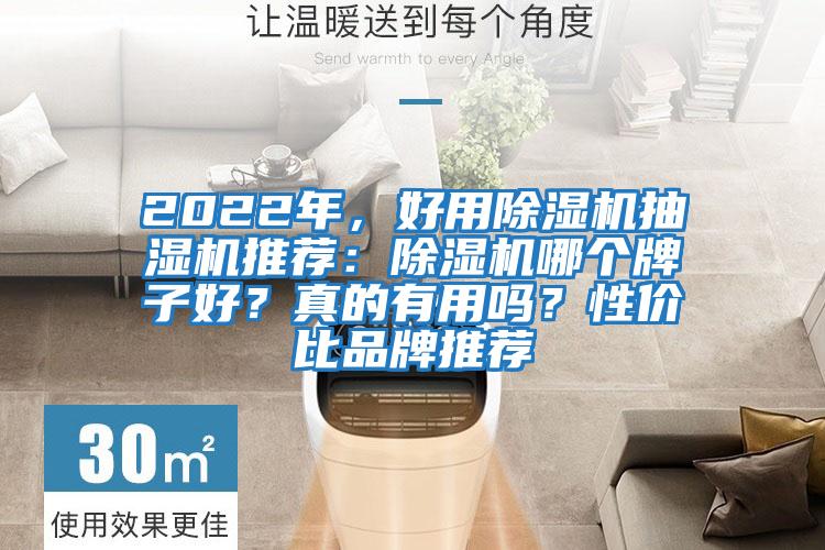 2022年，好用除濕機抽濕機推薦：除濕機哪個牌子好？真的有用嗎？性價比品牌推薦