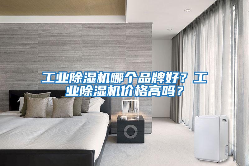 工業(yè)除濕機(jī)哪個(gè)品牌好？工業(yè)除濕機(jī)價(jià)格高嗎？