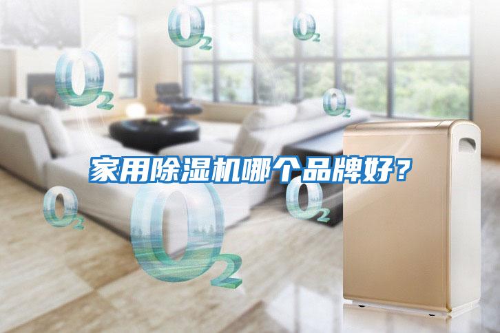 家用除濕機哪個品牌好？