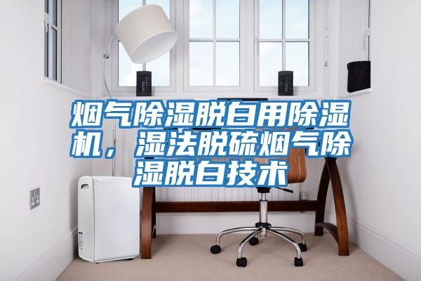 煙氣除濕脫白用除濕機，濕法脫硫煙氣除濕脫白技術(shù)