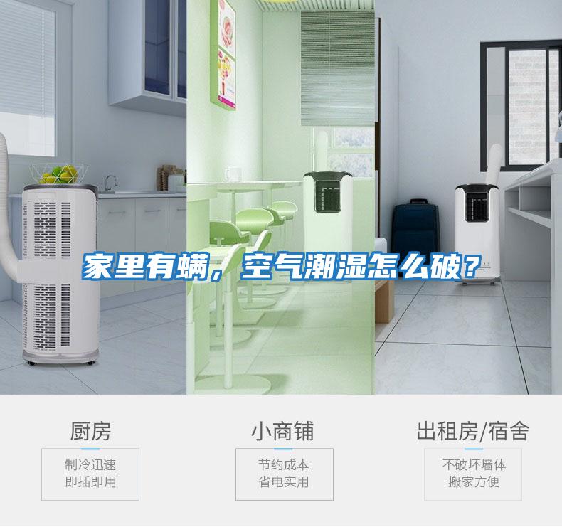 家里有螨，空氣潮濕怎么破？