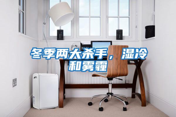 冬季兩大殺手，濕冷和霧霾