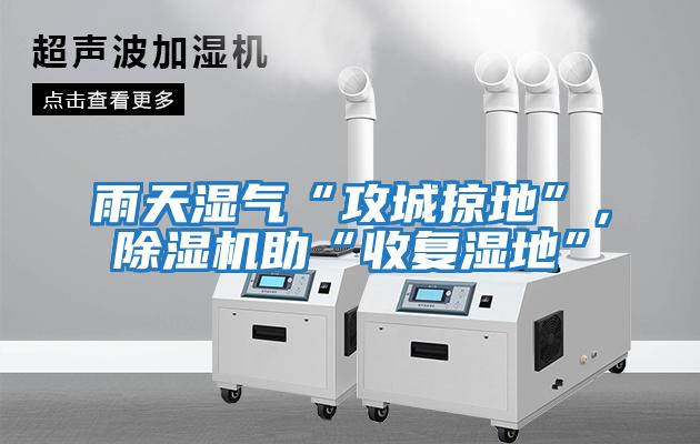 雨天濕氣“攻城掠地”，除濕機助“收復濕地”