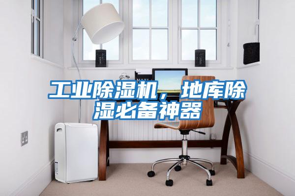 工業(yè)除濕機(jī)，地庫除濕必備神器