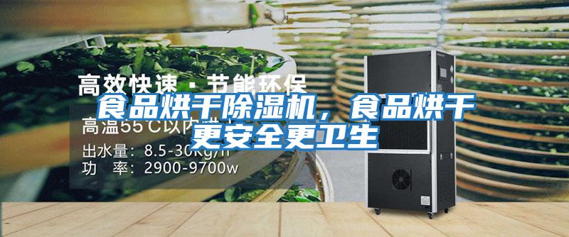 食品烘干除濕機(jī)，食品烘干更安全更衛(wèi)生