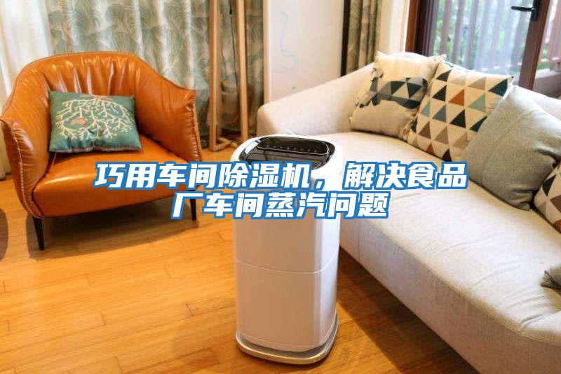 巧用車間除濕機(jī)，解決食品廠車間蒸汽問題