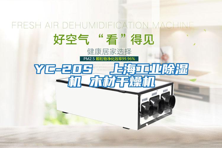 YC-20S  上海工業(yè)除濕機 木材干燥機
