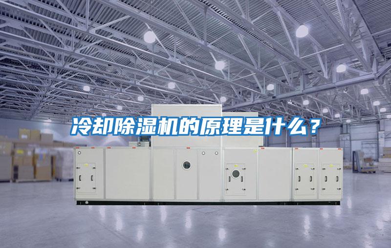 冷卻除濕機的原理是什么？