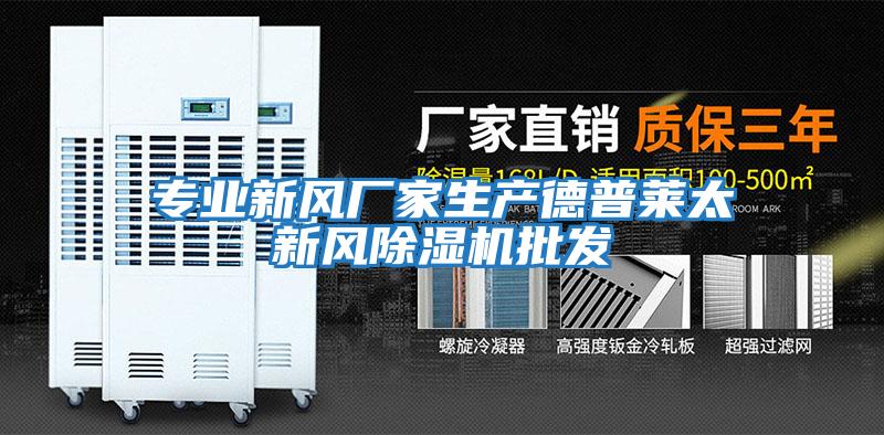 專業(yè)新風廠家生產(chǎn)德普萊太新風除濕機批發(fā)