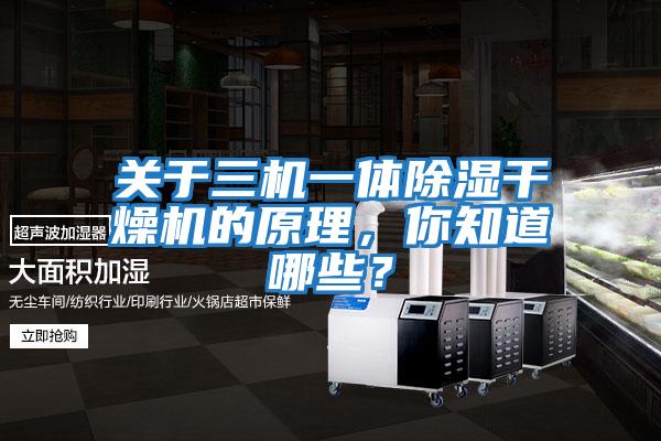 關(guān)于三機一體除濕干燥機的原理，你知道哪些？