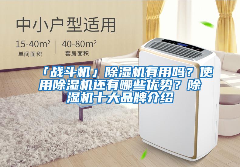 「戰斗機」除濕機有用嗎？使用除濕機還有哪些優勢？除濕機十大品牌介紹