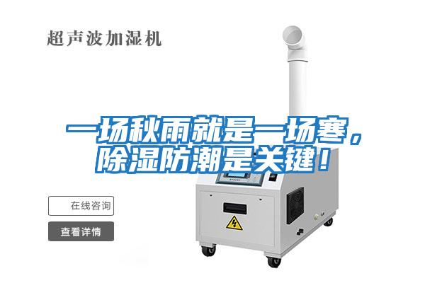 一場秋雨就是一場寒，除濕防潮是關鍵！