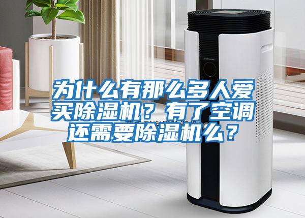 為什么有那么多人愛買除濕機？有了空調還需要除濕機么？