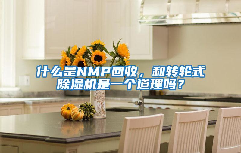 什么是NMP回收，和轉輪式除濕機是一個道理嗎？