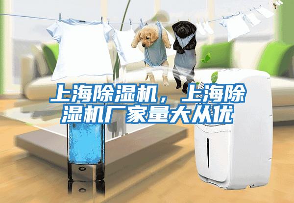 上海除濕機，上海除濕機廠家量大從優