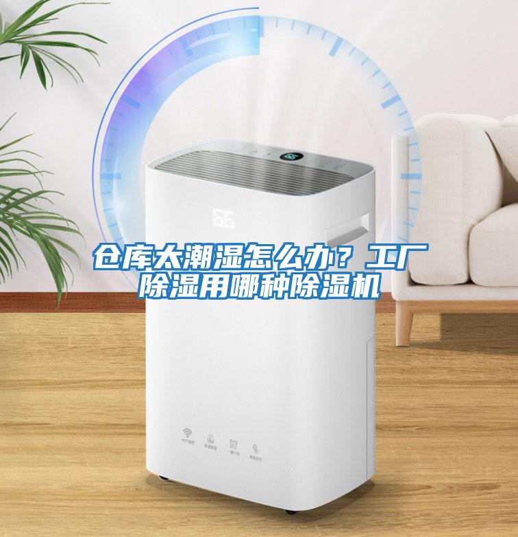 倉庫太潮濕怎么辦？工廠除濕用哪種除濕機