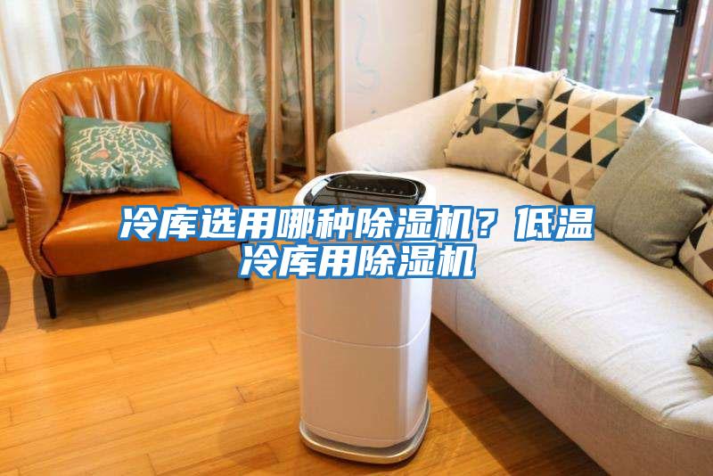 冷庫(kù)選用哪種除濕機(jī)？低溫冷庫(kù)用除濕機(jī)