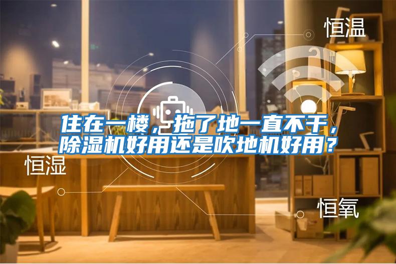 住在一樓，拖了地一直不干，除濕機好用還是吹地機好用？