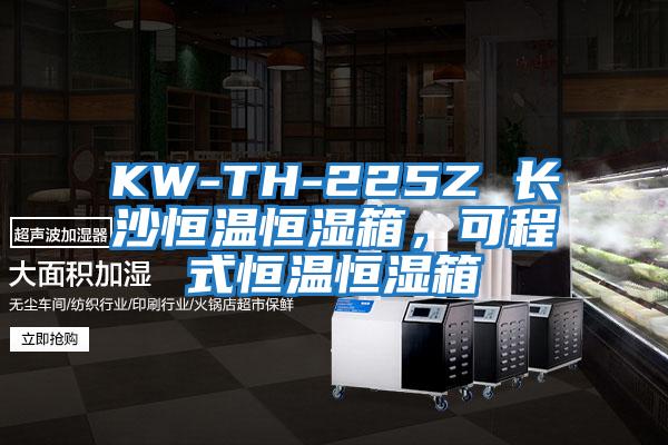 KW-TH-225Z 長(zhǎng)沙恒溫恒濕箱，可程式恒溫恒濕箱