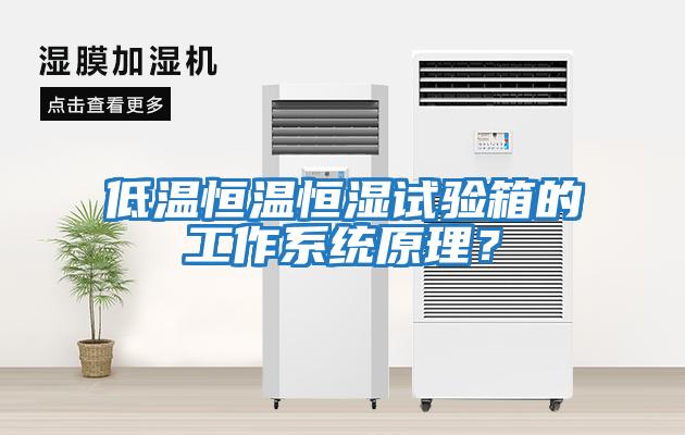 低溫恒溫恒濕試驗(yàn)箱的工作系統(tǒng)原理？