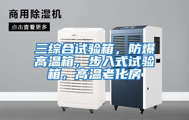 三綜合試驗(yàn)箱，防爆高溫箱，步入式試驗(yàn)箱，高溫老化房