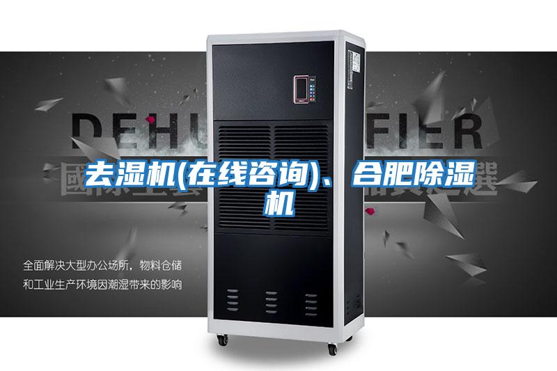去濕機(在線咨詢)、合肥除濕機
