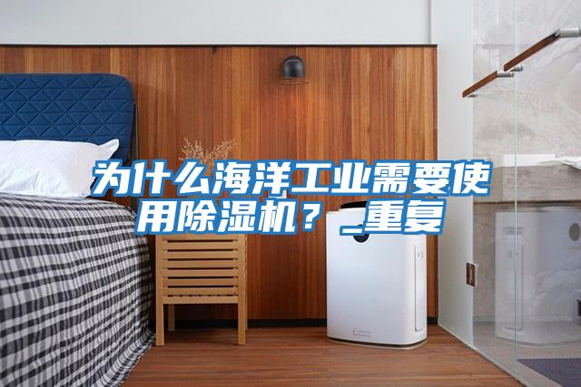 為什么海洋工業需要使用除濕機？_重復
