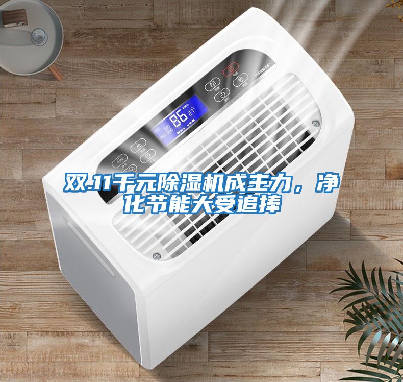 雙.11千元除濕機成主力，凈化節能大受追捧
