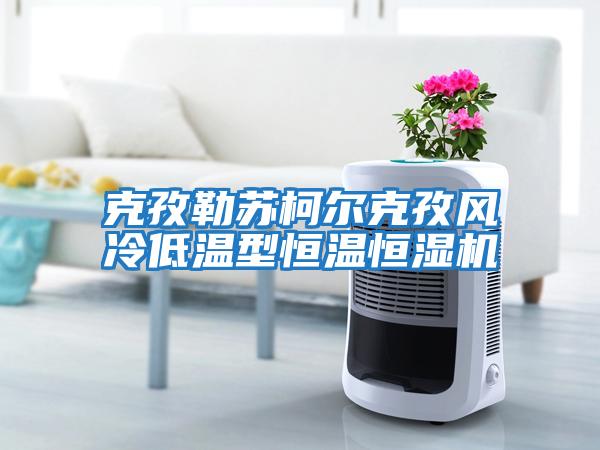 克孜勒蘇柯爾克孜風(fēng)冷低溫型恒溫恒濕機