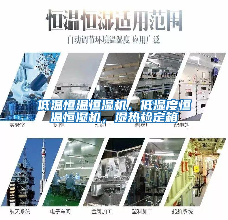 低溫恒溫恒濕機(jī)，低濕度恒溫恒濕機(jī)，濕熱檢定箱