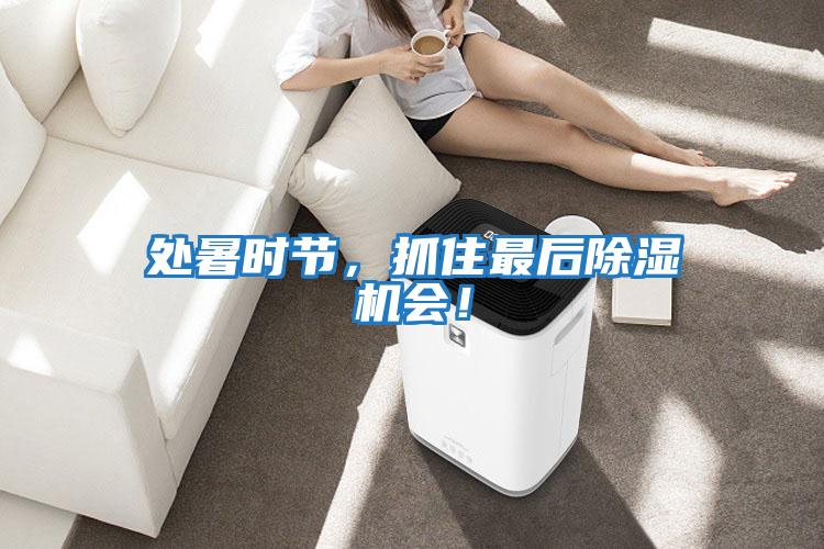 處暑時(shí)節(jié)，抓住最后除濕機(jī)會(huì)！