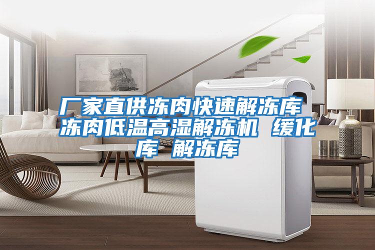 廠(chǎng)家直供凍肉快速解凍庫(kù) 凍肉低溫高濕解凍機(jī) 緩化庫(kù) 解凍庫(kù)