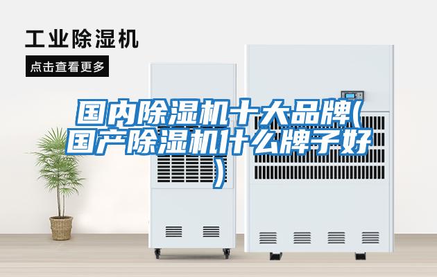 國內除濕機十大品牌(國產除濕機什么牌子好)