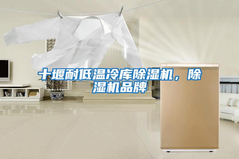 十堰耐低溫冷庫除濕機，除濕機品牌