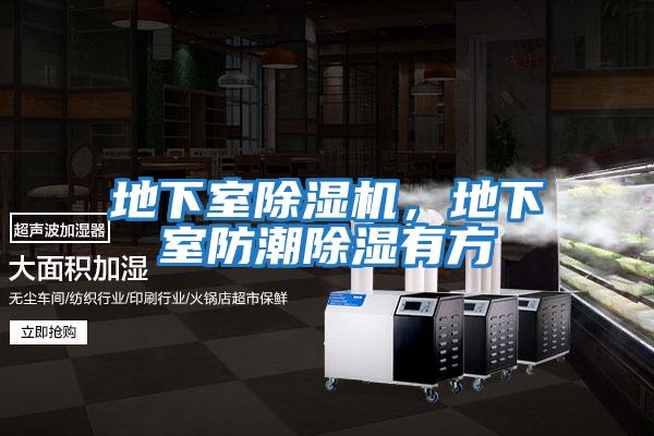 地下室除濕機(jī)，地下室防潮除濕有方
