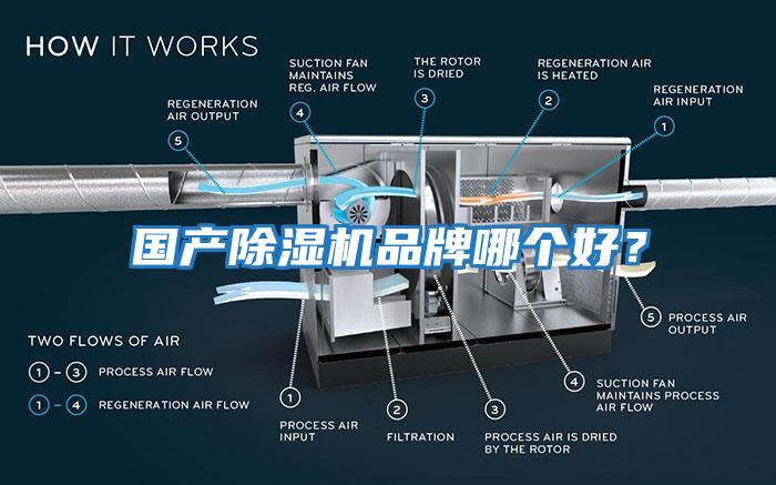 國產除濕機品牌哪個好？
