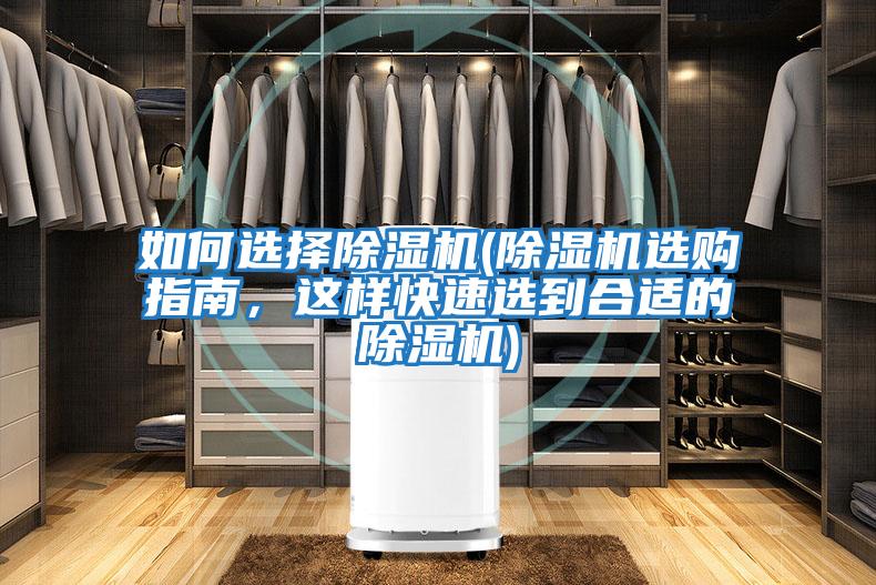 如何選擇除濕機(除濕機選購指南，這樣快速選到合適的除濕機)