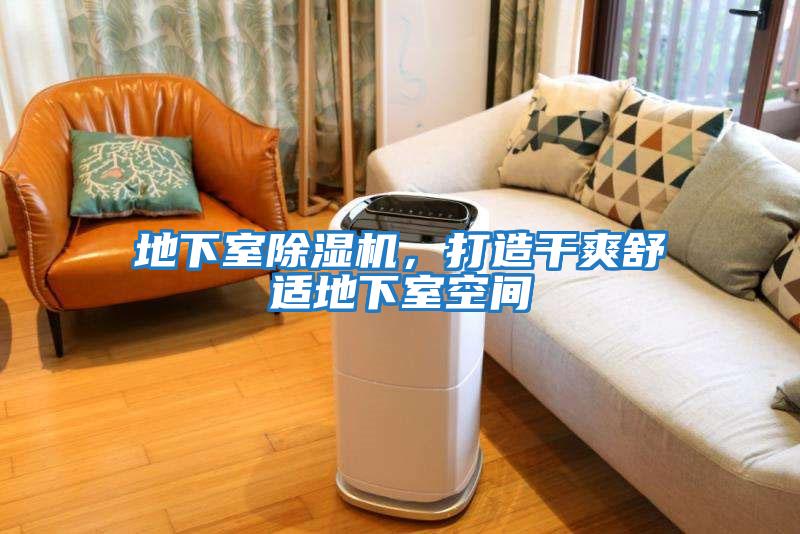 地下室除濕機(jī)，打造干爽舒適地下室空間