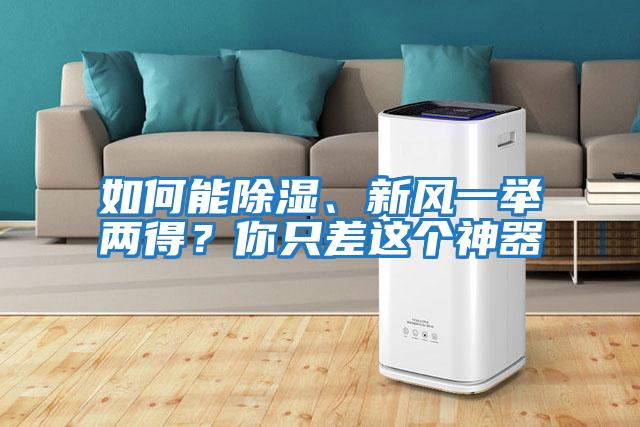 如何能除濕、新風一舉兩得？你只差這個神器