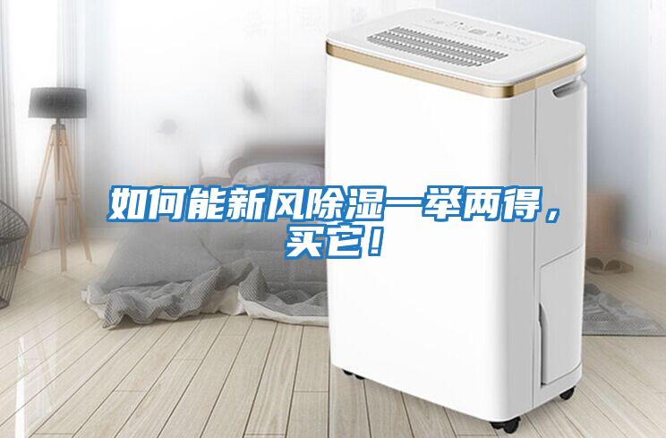 如何能新風除濕一舉兩得，買它！