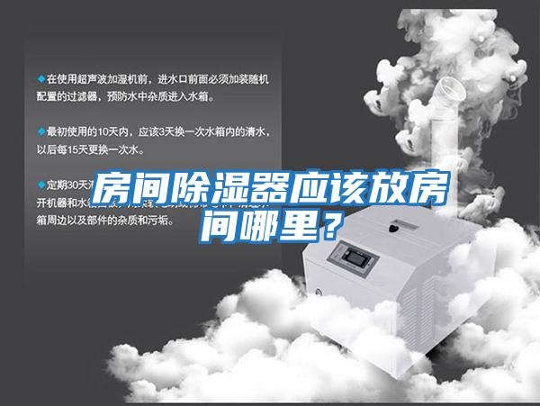 房間除濕器應該放房間哪里？