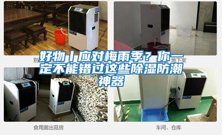 好物丨應對梅雨季？你一定不能錯過這些除濕防潮神器