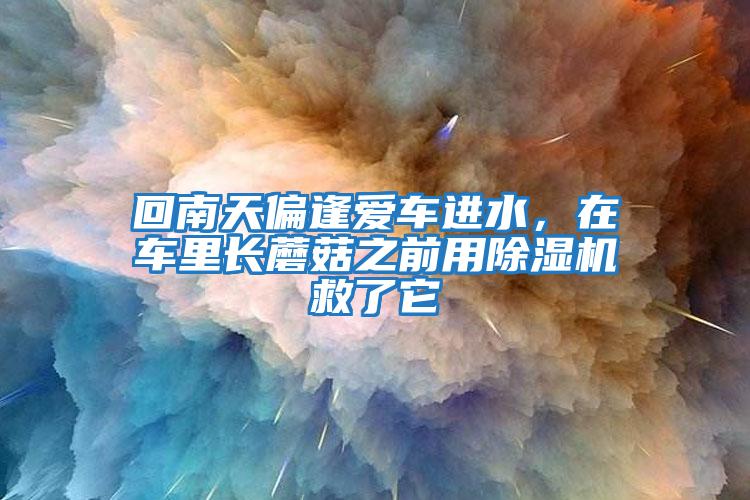 回南天偏逢愛車進(jìn)水，在車?yán)镩L蘑菇之前用除濕機救了它