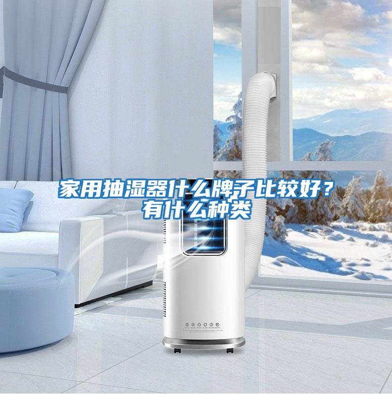 家用抽濕器什么牌子比較好？有什么種類