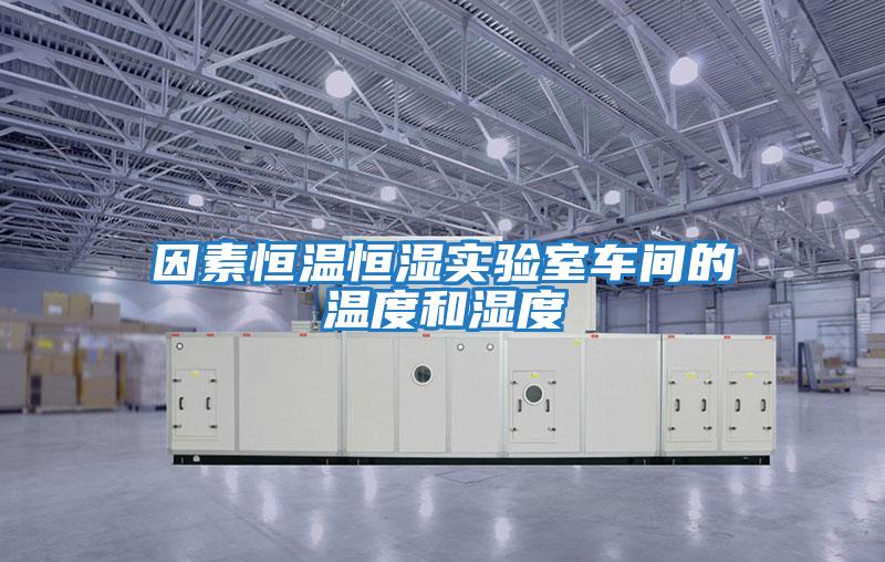 因素恒溫恒濕實(shí)驗室車間的溫度和濕度
