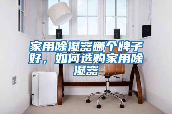 家用除濕器哪個(gè)牌子好，如何選購家用除濕器