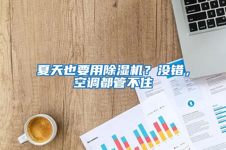夏天也要用除濕機？沒錯，空調都管不住